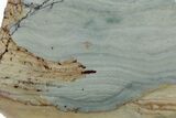 Gary Green Jasper (Larsonite) Bog Wood Slab - Oregon #377773-1